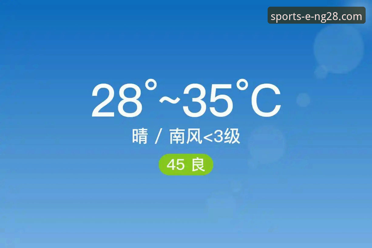 官方渠道 vs. 非官方入口：解锁南宫28平台安全与创新的唯一密钥